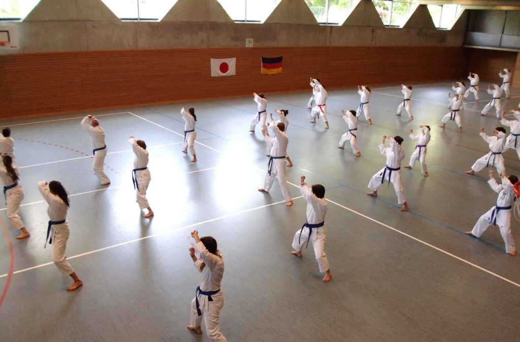 Bushido Karate Reichelsheim
