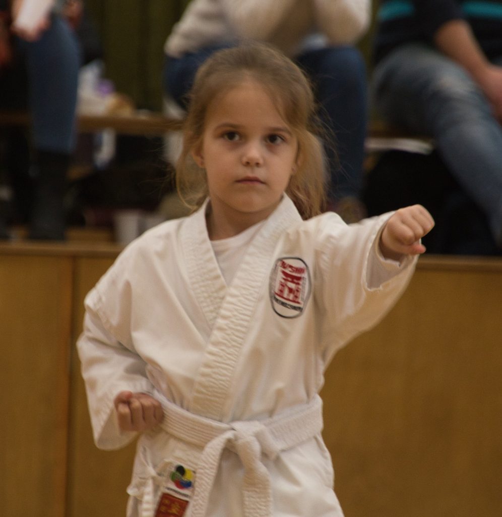 Bushido Karate Reichelsheim