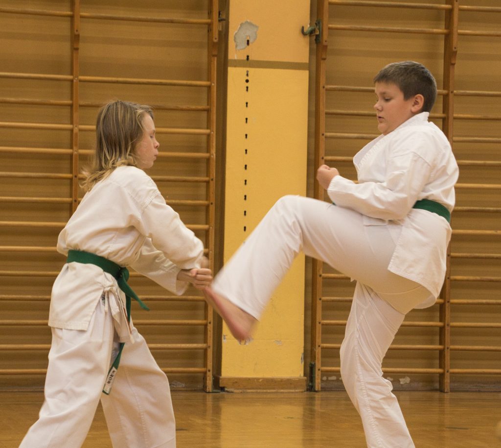 Bushido Karate Reichelsheim