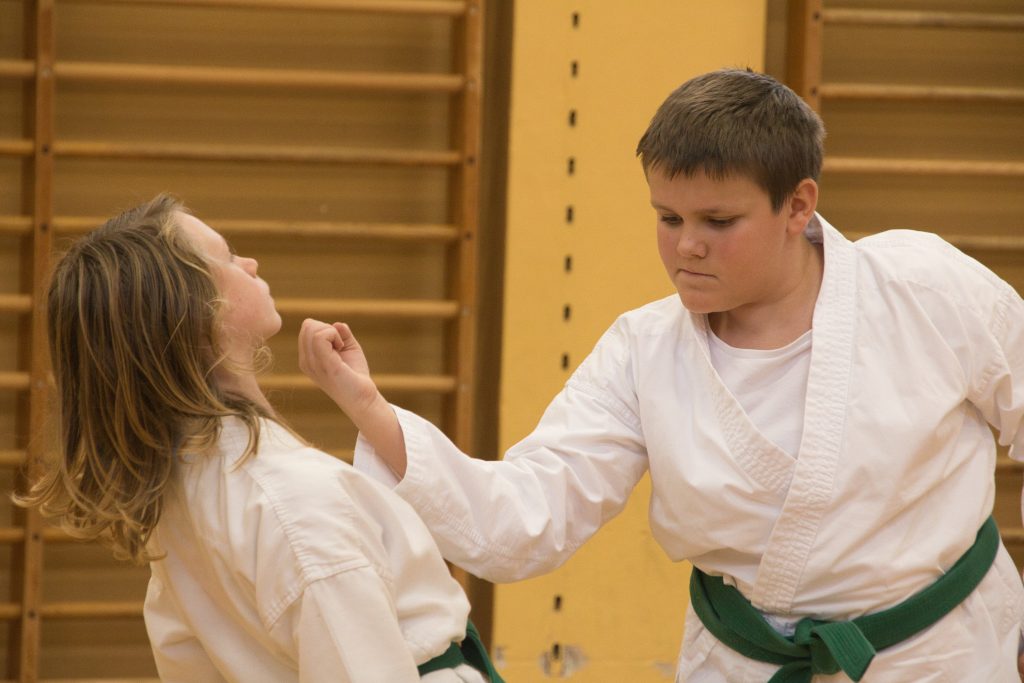 Bushido Karate Reichelsheim